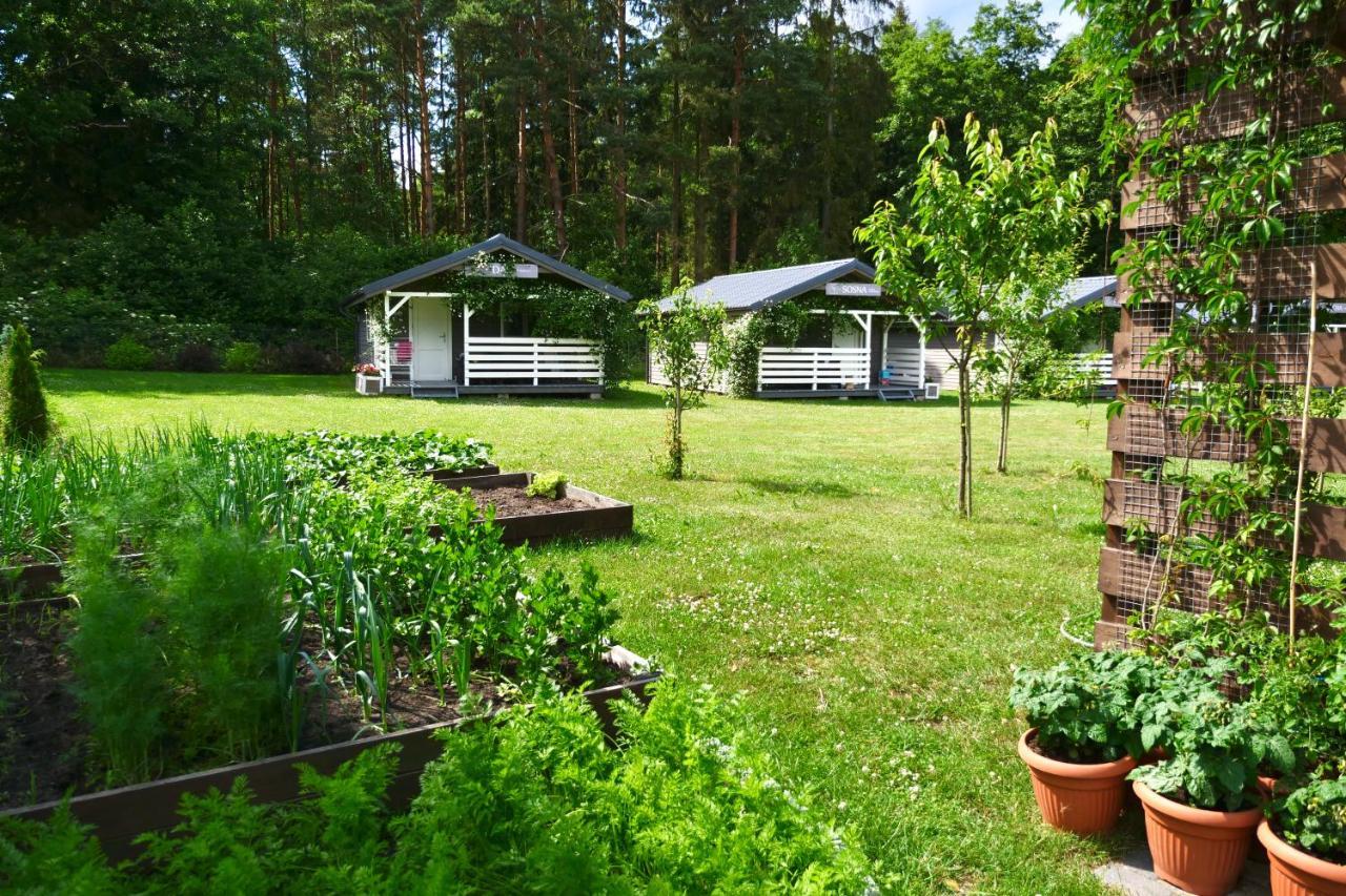 Villa Przylesie21 à Ustka Extérieur photo
